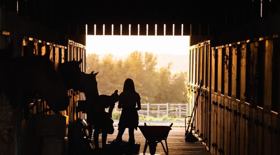 demi pension cheval autour de moi