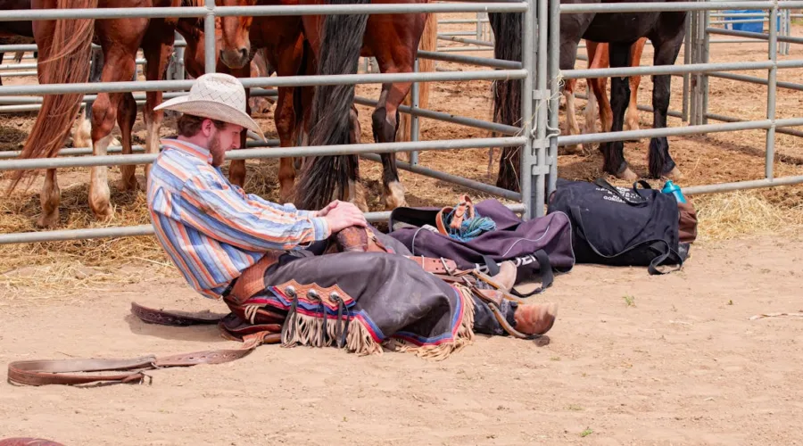 découvrez les ajustements de selle essentiels pour un confort optimal à cheval. apprenez comment adapter votre selle pour améliorer votre position, réduire les douleurs et maximiser vos performances en équitation.