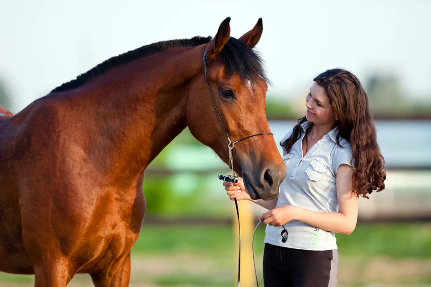 Quels sont les avantages de la litière de chanvre pour les chevaux