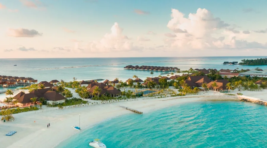 découvrez le concept d'ideal feed ratio, essentiel pour optimiser la nutrition animale et garantir une croissance saine. apprenez à équilibrer les rations alimentaires pour améliorer la productivité tout en respectant les besoins spécifiques de chaque espèce.