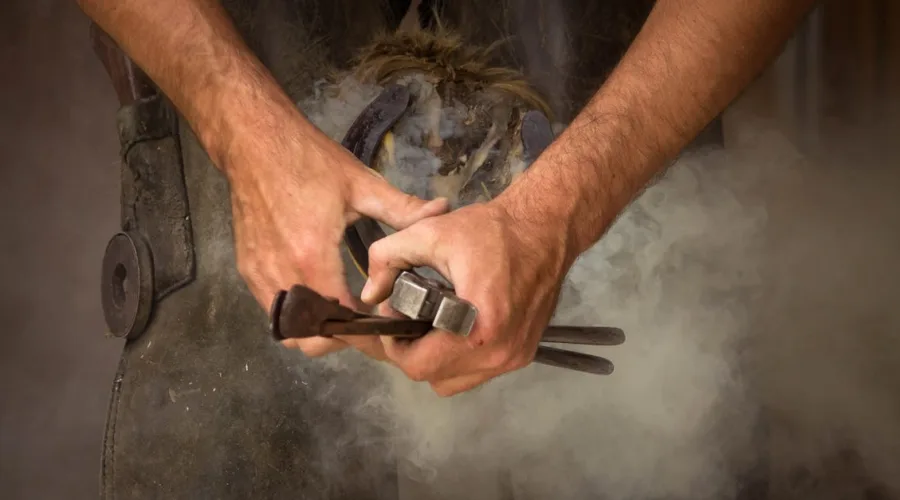 découvrez l'art des maréchaux-ferrants, professionnels passionnés et indispensables pour le bien-être des chevaux. apprenez tout sur les techniques de ferrage, les soins des sabots et l'importance de cette pratique ancestrale pour la santé équine.