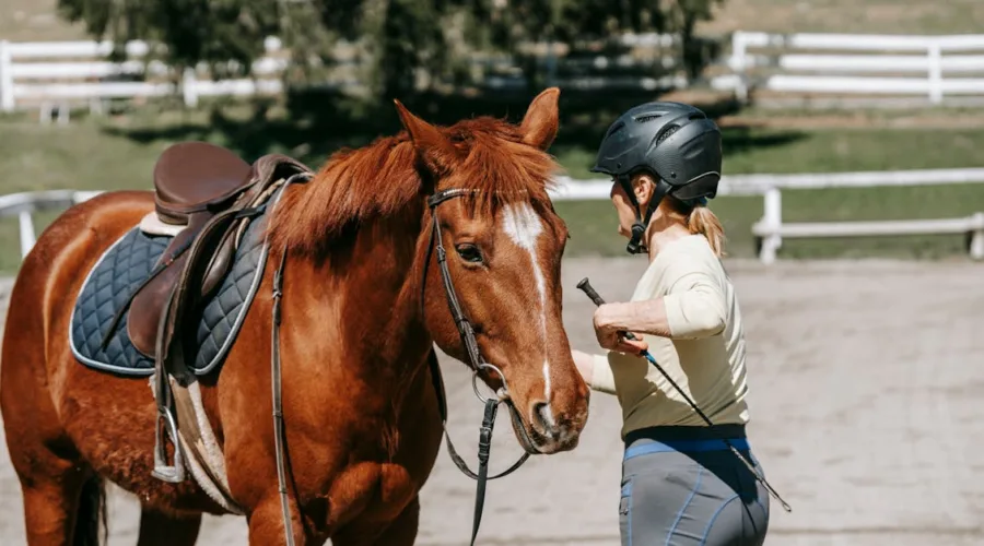 découvrez tout ce qu'il faut savoir sur les reins : leur fonctionnement, leur rôle dans le corps humain, les maladies qui les affectent et des conseils pour maintenir leur santé. une ressource essentielle pour mieux comprendre cet organe vital.