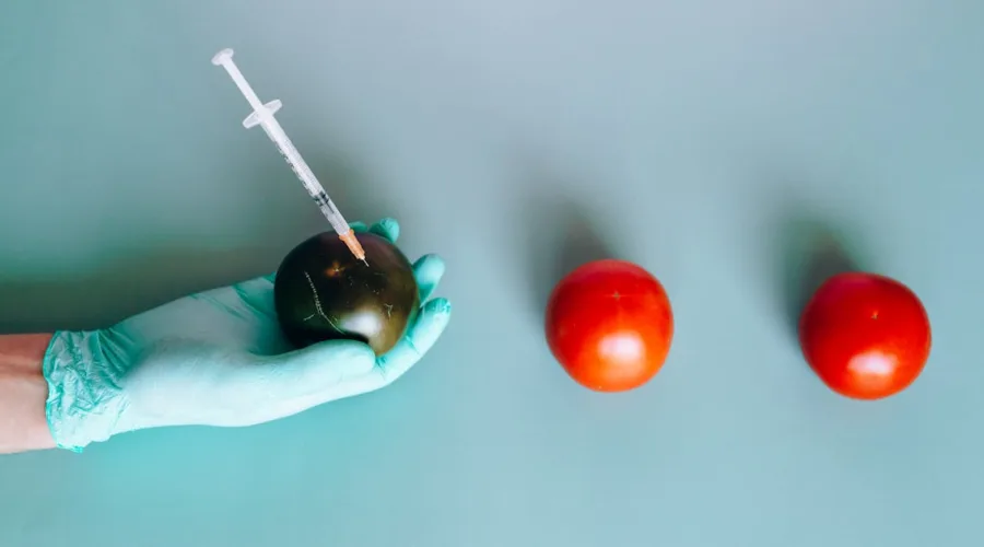 découvrez les maladies génétiques, leurs causes, symptômes et traitements. informez-vous sur les avancées de la recherche et comment elles impactent la vie des personnes touchées.