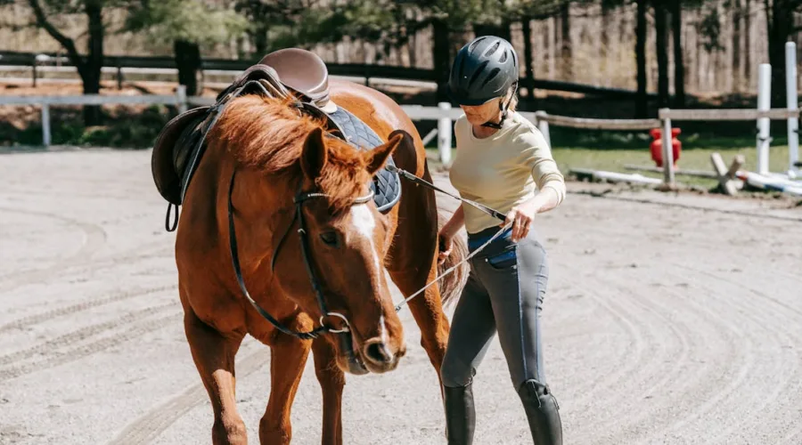 découvrez nos sous-tapis de selle respirants, conçus pour offrir un confort optimal à votre cheval tout en favorisant une meilleure circulation de l'air. idéaux pour les longues séances d'équitation, ils combinent performance et style.
