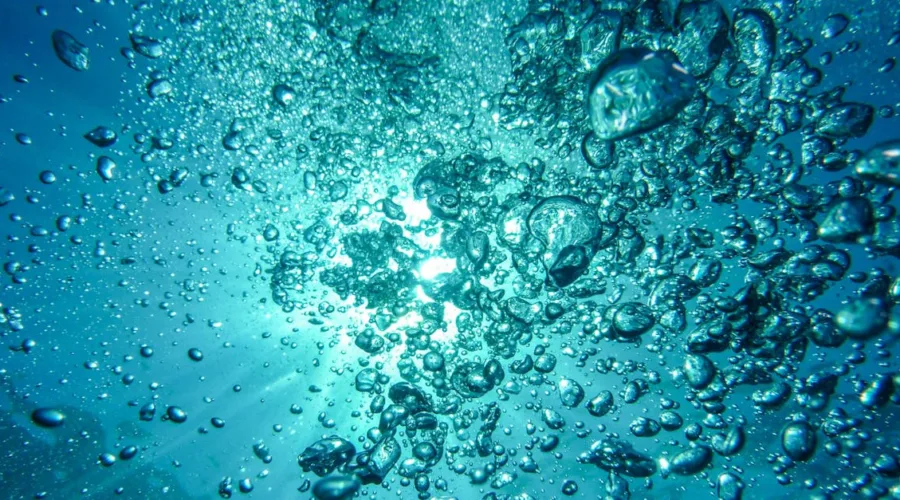 découvrez l'importance de l'eau pour la vie, ses bienfaits pour la santé et ses différentes utilisations au quotidien. apprenez comment préserver cette ressource précieuse et les enjeux liés à sa gestion.