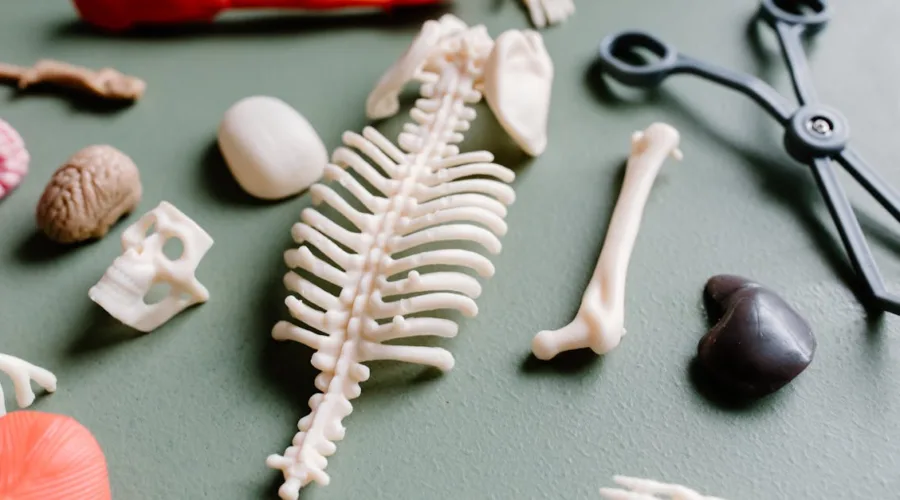 découvrez notre large sélection de bandages adaptés à tous vos besoins. que ce soit pour des blessures sportives, des soins quotidiens ou des besoins spécifiques, nos bandages offrent soutien et confort pour une guérison rapide.