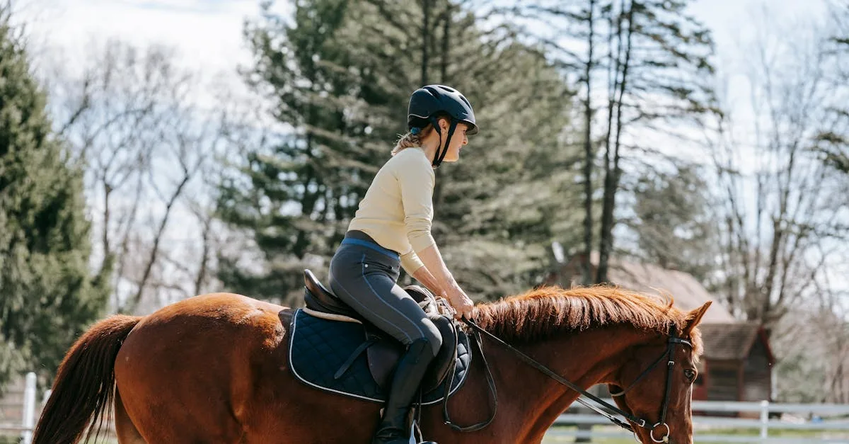 découvrez l'art du réglage de selle pour optimiser le confort et la performance de votre cheval. nos experts en saddle fitting vous accompagnent dans le choix et l'ajustement de la selle idéale.