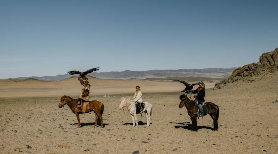 découvrez notre gamme de selles de qualité, conçues pour allier confort et performance lors de vos balades à cheval. que vous soyez débutant ou cavalier expérimenté, trouvez la selle parfaite pour vous accompagner dans toutes vos aventures équestres.