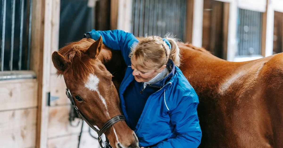 Comment apprendre à un cheval à respecter son cavalier sans utiliser la
