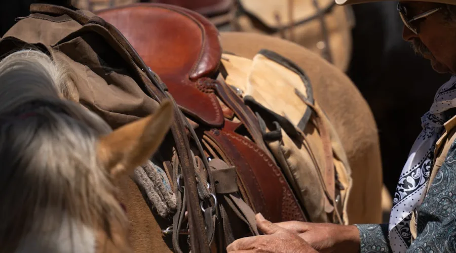 découvrez le service de selle sur mesure adapté à votre équitation. notre équipe d'experts vous aide à trouver la selle parfaite pour optimiser le confort et la performance de votre cheval. profitez d'un ajustement professionnel pour une expérience d'équitation inégalée.