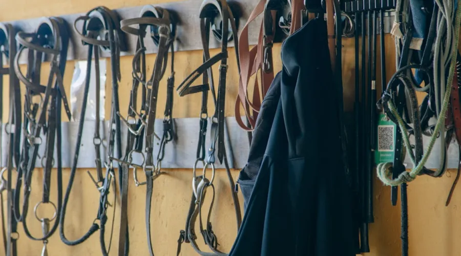 explorez le monde des bits, l'unité fondamentale de l'information numérique. découvrez comment ces petites unités transforment notre quotidien, des ordinateurs aux communications, en passant par le stockage de données.