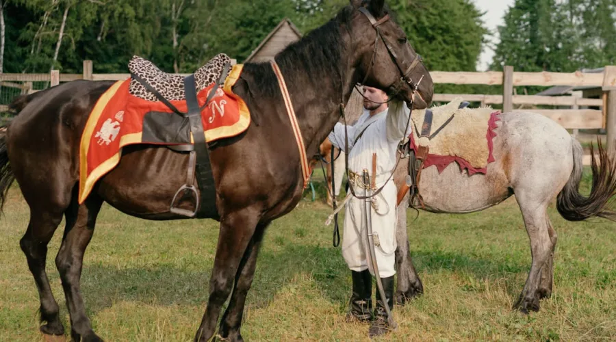 découvrez l'univers fascinant de la cavalerie, son histoire, ses évolutions et son rôle essentiel dans les guerres et les batailles à travers les âges. plongez dans les traditions équestres et les exploits des cavaliers.