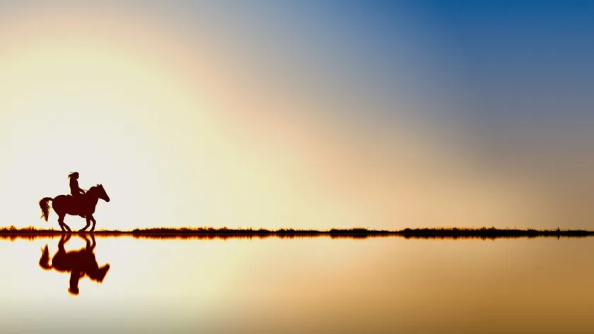 découvrez l'univers fascinant des chevaux : leur histoire, leurs races, leur entretien et leur rôle dans la société. plongez dans la passion équestre et apprenez tout sur ces majestueux animaux.