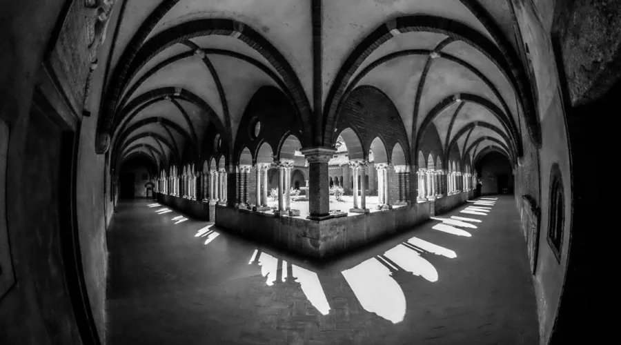 découvrez l'univers mystérieux des ombres, où chaque silhouette raconte une histoire. plongez dans l'analyse des ombres dans la nature, l'art et la psychologie. explorez comment elles influencent notre perception et notre imagination.