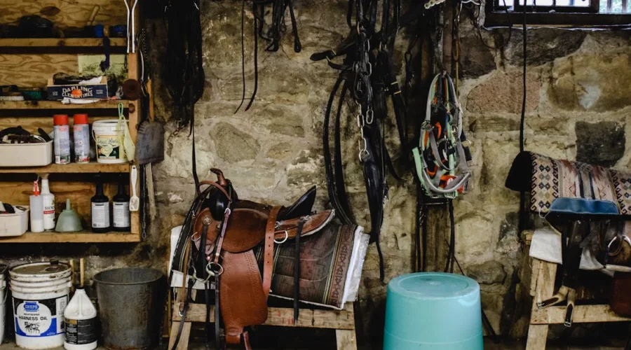 découvrez nos tapis de selle de qualité supérieure, conçus pour offrir confort et soutien à votre cheval tout en ajoutant une touche d'élégance à votre équipement équestre. explorez notre sélection pour trouver le tapis parfait!