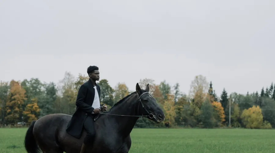 découvrez tout sur le bridon, un équipement essentiel pour le cavalier et son cheval. apprenez à choisir le bon bridon, ses différents types, son entretien et comment l'utiliser pour optimiser le confort et la performance de votre monture.