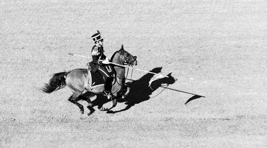 découvrez notre sélection de selles de qualité pouréquiper votre cheval. confort, performance et style s’allient pour offrir le meilleur à votre monture. explorez notre gamme dès aujourd'hui!