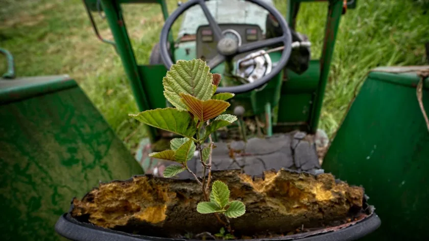 découvrez comment désinfecter efficacement une selle synthétique pour garantir hygiène et durabilité. suivez nos conseils pratiques et simples d'entretien.