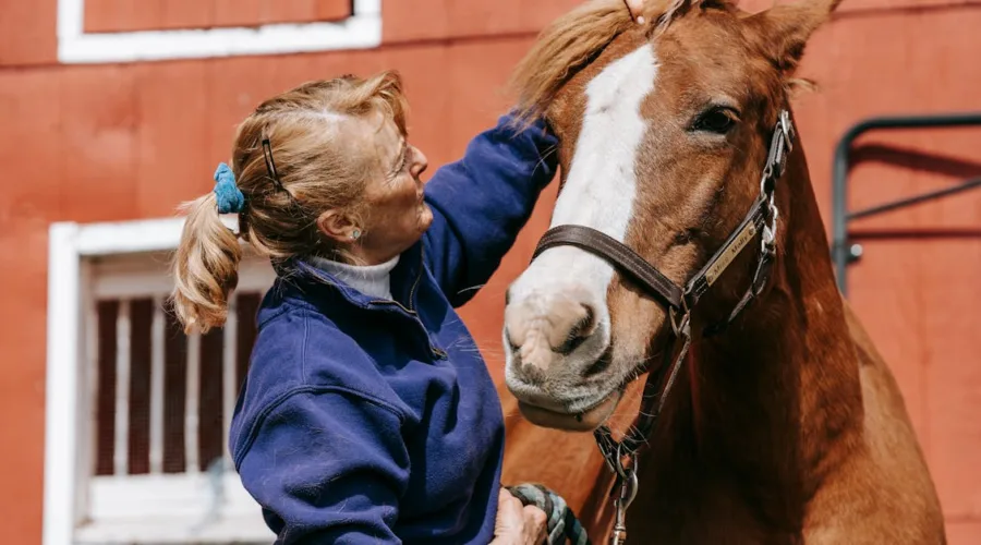 découvrez le licol éthologique, un outil d'éducation respectueux et efficace pour cheval, favorisant la communication naturelle entre cavalier et monture. idéal pour le travail à pied et l'équitation douce.