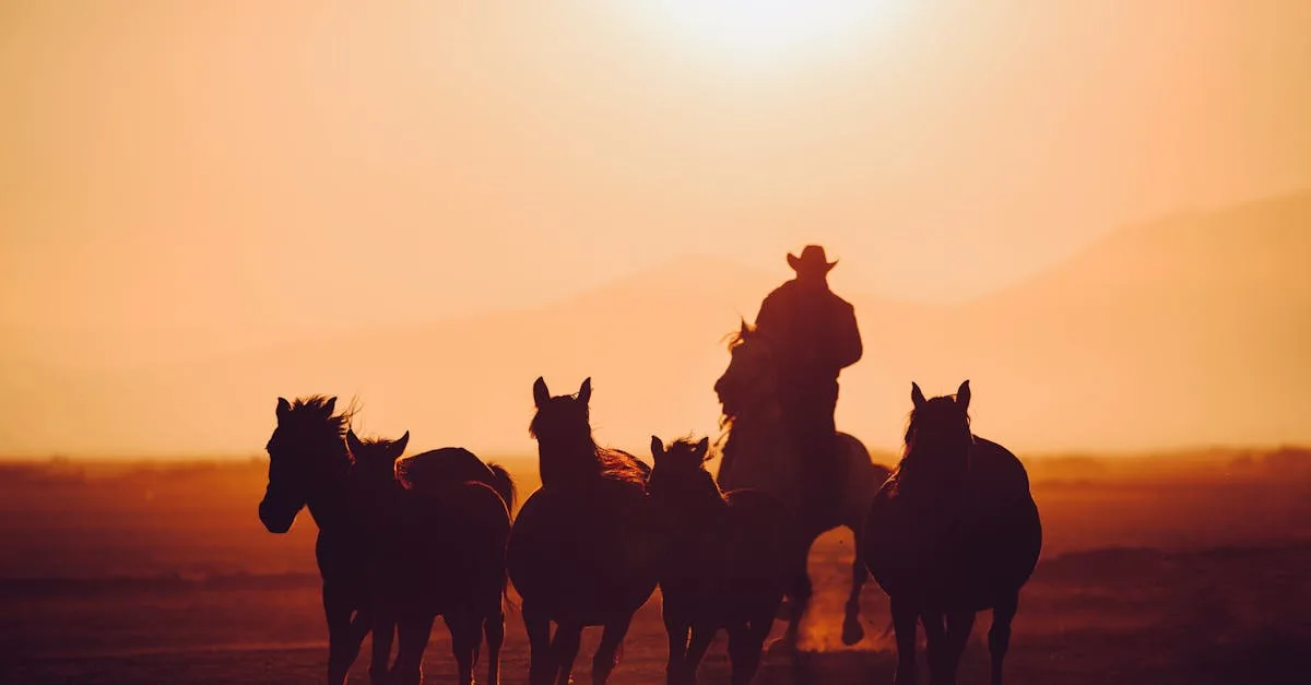 découvrez tout ce qu’il faut savoir sur la selle (saddle) : types, conseils d’entretien, choix selon votre usage et astuces pour trouver le modèle idéal, adapté à votre confort et à votre pratique.