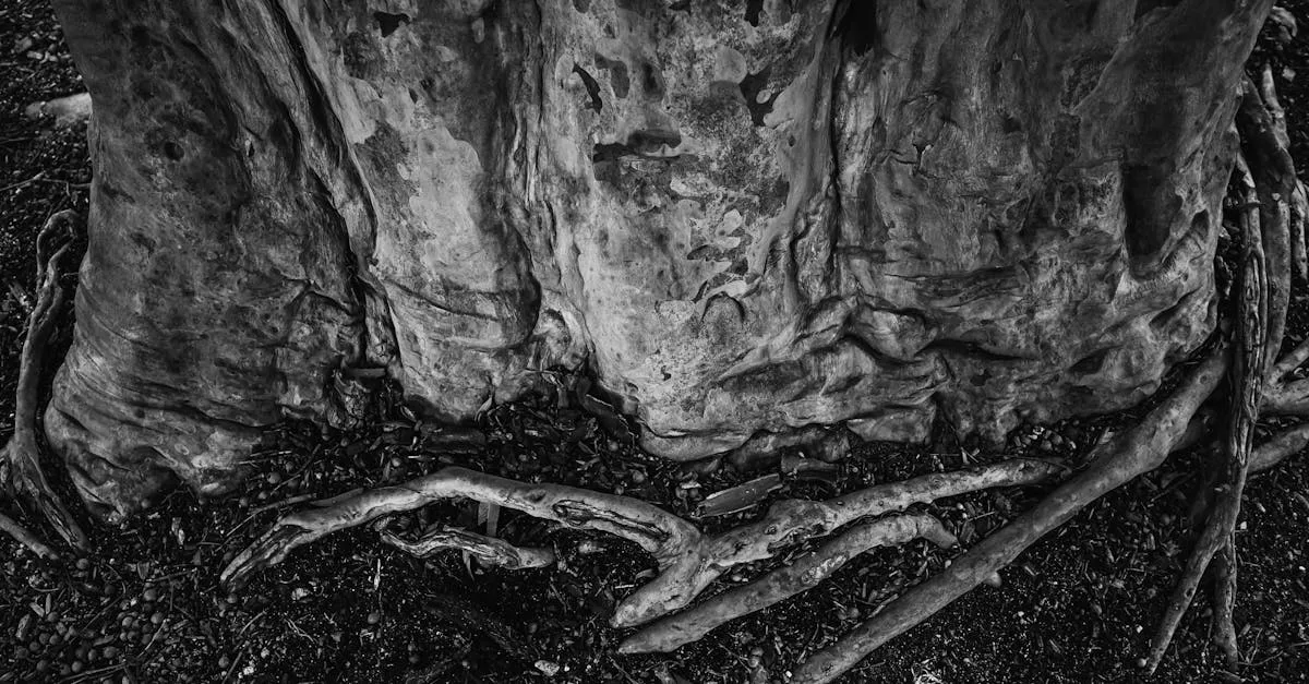 découvrez la signification de 'girth', son utilisation en français et en anglais, et pourquoi ce terme est important dans des domaines comme l’équitation, la santé ou la technologie.