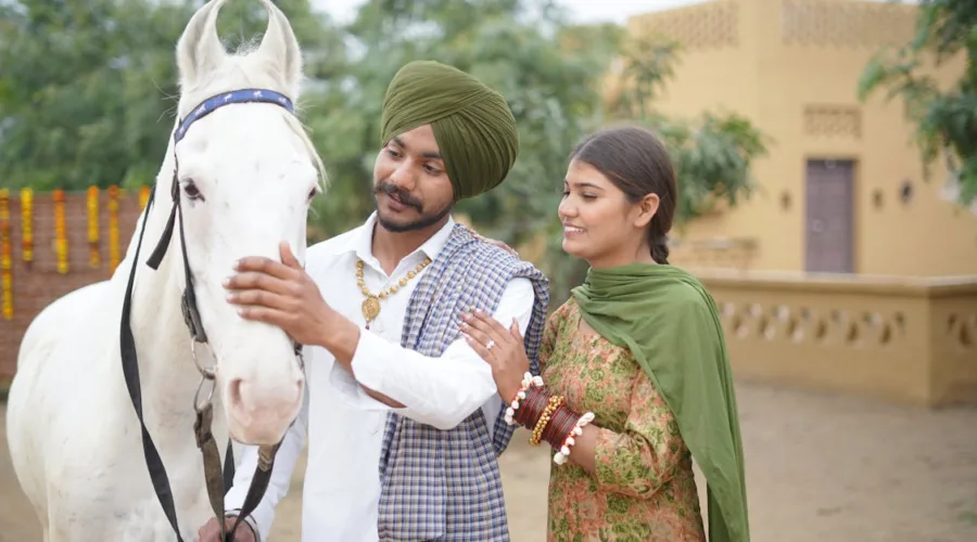 protégez votre cheval avec une assurance adaptée : découvrez nos solutions d’assurance cheval pour couvrir les soins vétérinaires, la responsabilité civile et bien plus. devis gratuit en ligne.