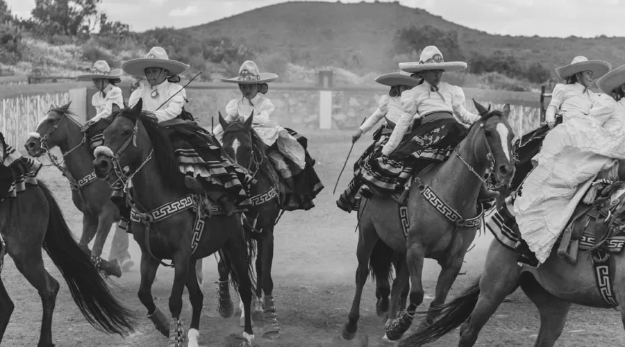 découvrez tout ce qu’il faut savoir sur la température normale du cheval, les signes de fièvre et comment contrôler la santé de votre équidé.