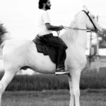 découvrez tout ce qu'il faut savoir sur la taille des reins : dimensions normales, facteurs de variation et implications pour la santé rénale.