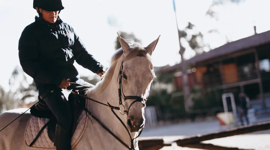 découvrez l'univers équestre : actualités, conseils, disciplines, équipement et astuces pour cavaliers passionnés et amateurs de chevaux.
