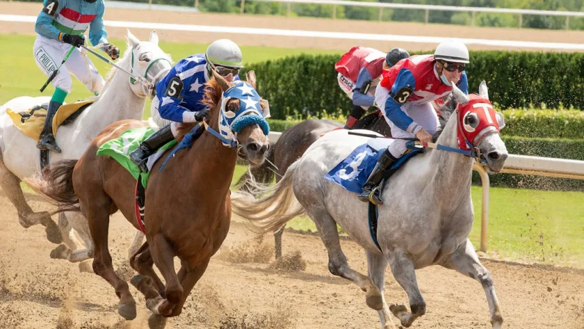 découvrez l'univers passionnant des courses hippiques : actualités, pronostics, résultats en direct et conseils pour parier sur le cheval gagnant.