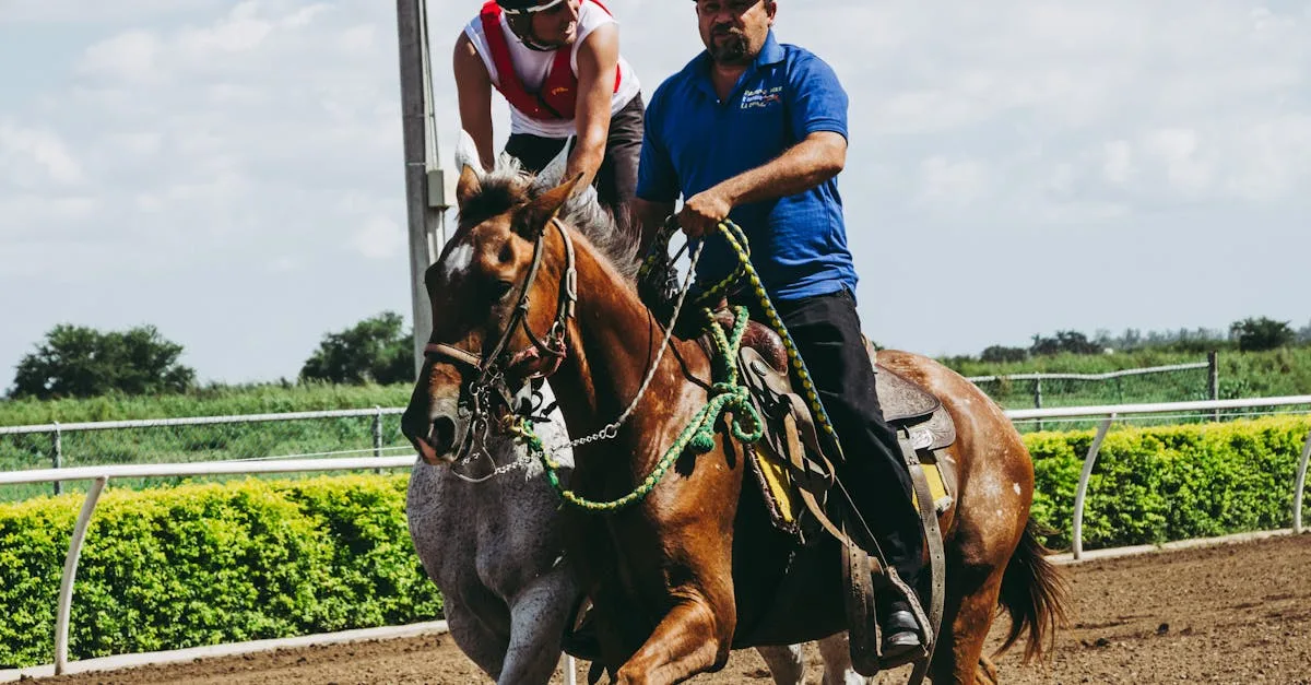 découvrez l'univers passionnant des courses hippiques, suivez les compétitions, les chevaux, les jockeys et les conseils pour parier en toute stratégie.