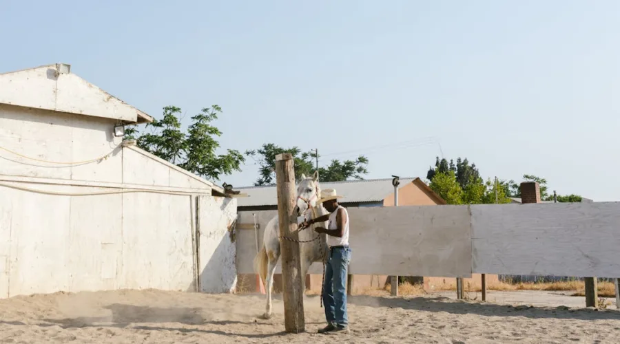 abri mobile pour chevaux : protection pratique et sécurisée pour vos chevaux, facile à déplacer et adapté à tous les environnements.
