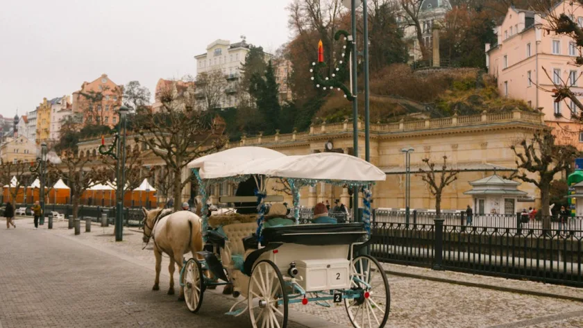 découvrez prascend, un traitement efficace pour la cushing équine, améliorant la santé et le bien-être de votre cheval.