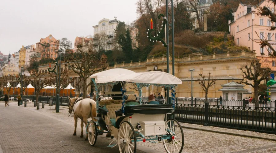 découvrez prascend, un traitement efficace pour la cushing équine, améliorant la santé et le bien-être de votre cheval.