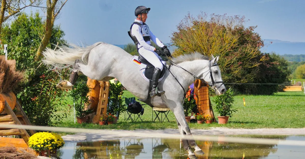 découvrez comment calculer la distance de saut d'un cheval avec des méthodes précises et simples pour optimiser vos performances équestres.