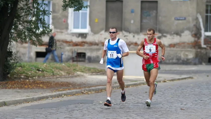 calcul de la distance de saut du cheval : méthodes et conseils pour évaluer la performance en saut d'obstacles.
