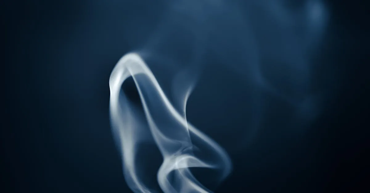 découvrez le rôle, les compétences et l'univers fascinant des jockeys, ces pilotes passionnés des courses hippiques.