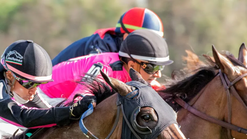 découvrez tout sur le métier de jockey : compétences, entraînement, courses hippiques et passion du sport équestre.