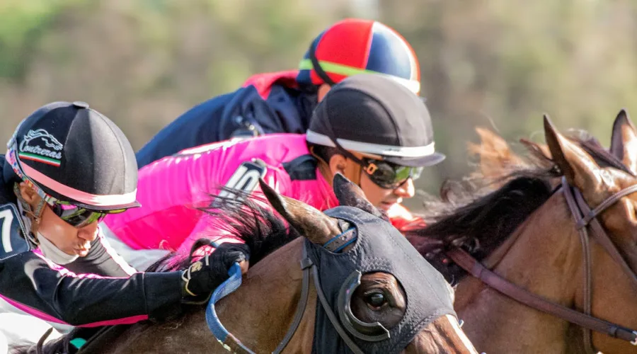 découvrez tout sur le métier de jockey : compétences, entraînement, courses hippiques et passion du sport équestre.