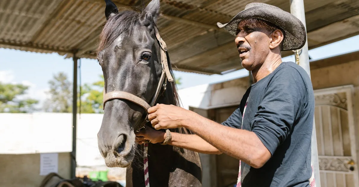 découvrez notre sélection rare de chevaux schleich, parfaits pour les collectionneurs et les passionnés de figurines de chevaux.