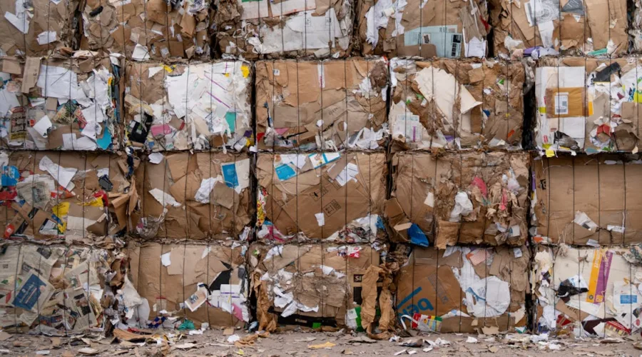 découvrez des actions durables pour protéger l'environnement et promouvoir un avenir éco-responsable.