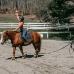 découvrez des exercices efficaces pour renforcer vos muscles pectoraux et améliorer votre posture, inspirés des mouvements puissants du cheval.