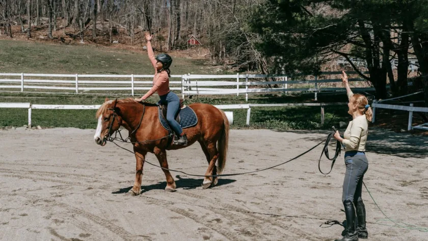 découvrez des exercices efficaces pour renforcer vos muscles pectoraux et améliorer votre posture, inspirés des mouvements puissants du cheval.