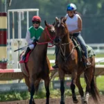 découvrez l'actualité, les analyses et les résultats des courses hippiques avec horse racing media, votre source incontournable pour tout savoir sur le monde des courses de chevaux.