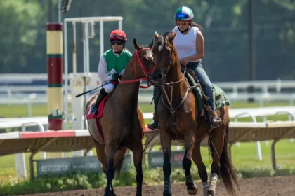 découvrez l'actualité, les analyses et les résultats des courses hippiques avec horse racing media, votre source incontournable pour tout savoir sur le monde des courses de chevaux.