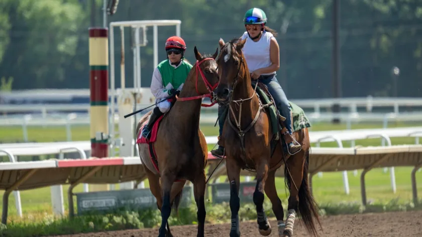 découvrez l'actualité, les analyses et les résultats des courses hippiques avec horse racing media, votre source incontournable pour tout savoir sur le monde des courses de chevaux.