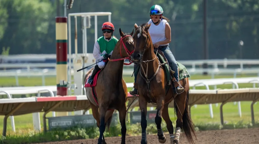 découvrez l'actualité, les analyses et les résultats des courses hippiques avec horse racing media, votre source incontournable pour tout savoir sur le monde des courses de chevaux.