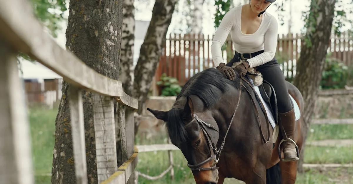 découvrez notre collection d'équipements d'équitation alliant confort, sécurité et style pour tous les cavaliers, débutants ou confirmés.