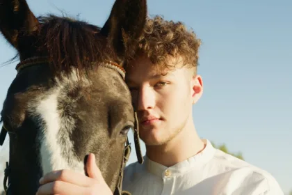 découvrez le curly horse, une race de cheval unique connue pour sa robe bouclée, son caractère doux et sa robustesse. parfait pour l'équitation et les loisirs équestres.