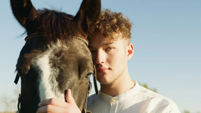 découvrez le curly horse, une race de cheval unique connue pour sa robe bouclée, son caractère doux et sa robustesse. parfait pour l'équitation et les loisirs équestres.